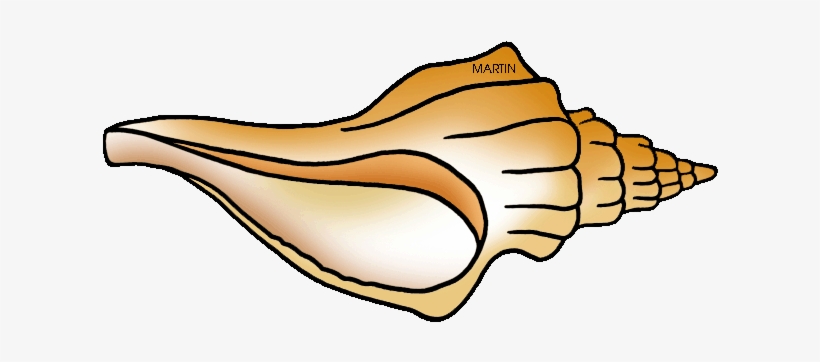 United States Clip Art By Phillip Martin, Florida State - Conch, transparent png download