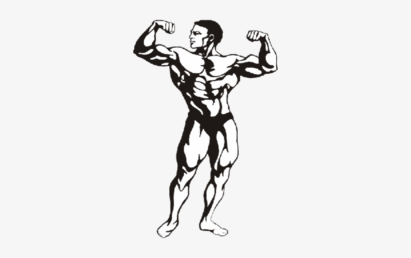 Bodybuilder Cliparts - Bodybuilder Clipart, transparent png download