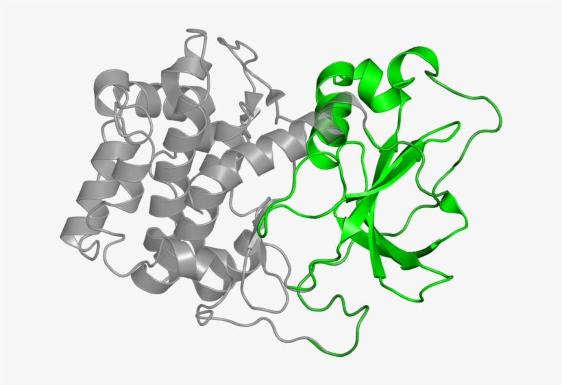 <div Class='caption-body'>1 Copy Of Cath Domain - Graphic Design, transparent png download