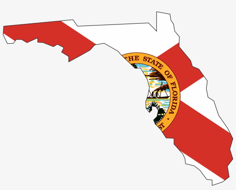 State Of Florida Png - New York Florida California, transparent png download