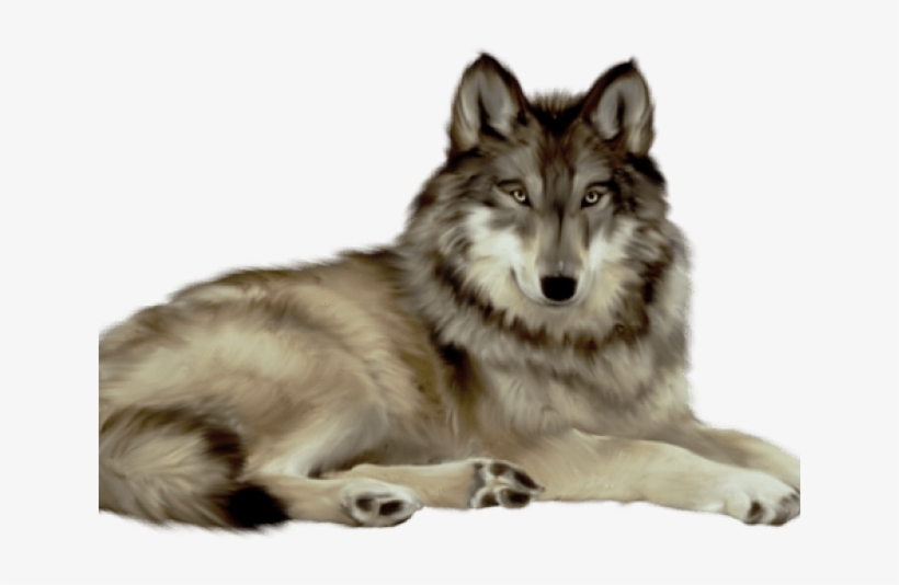 Gray Wolf Clipart Invisible Background - Wwseven Animal Crystal Diamond Painting Diy Resin Diamond, transparent png download