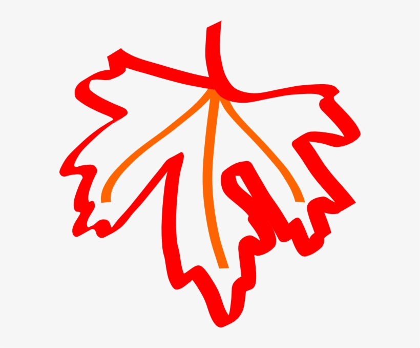 Maple Leaf Outline, transparent png download