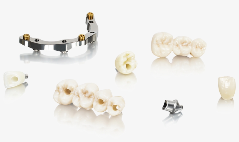 Prosthetic Rehabilitation Courses - Earrings, transparent png download