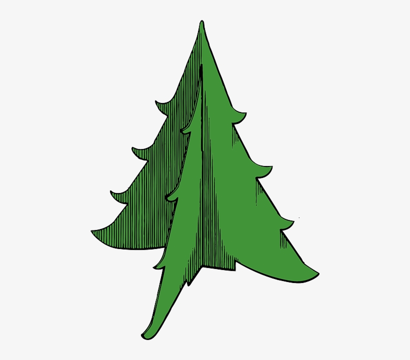Outline, Tree, Recreation, Trees, Christmas, Holiday - Christmas Tree, transparent png download