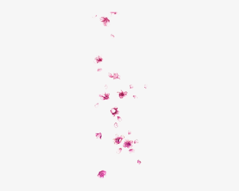 Petal Watercolor Painting - Pink Square Watercolor Png, transparent png download