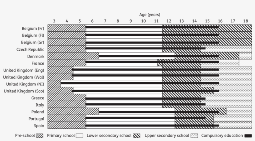 Educational Structure Outline Across Countries, Highlighting - Monochrome, transparent png download