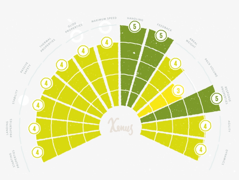 If You Are Hooked To Explore The Fast And Dynamic Side - Buteos, transparent png download