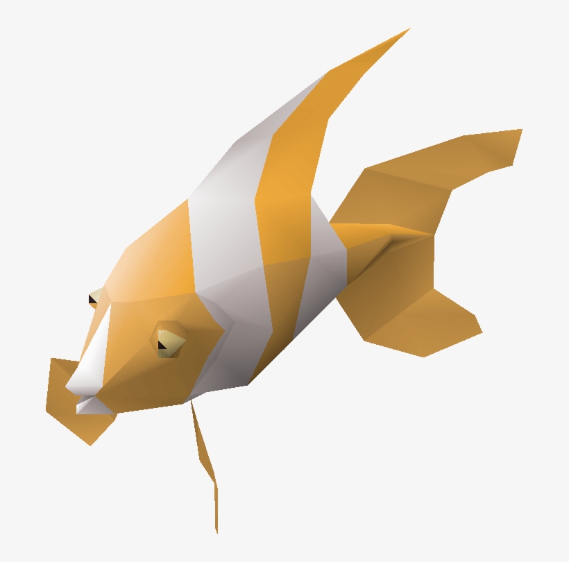 Paradise Fish, transparent png download