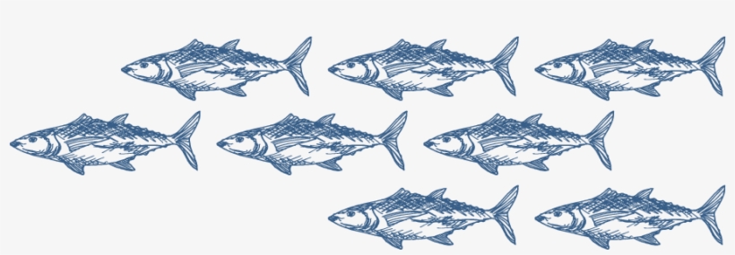 School Of Fishes - Sushi, transparent png download
