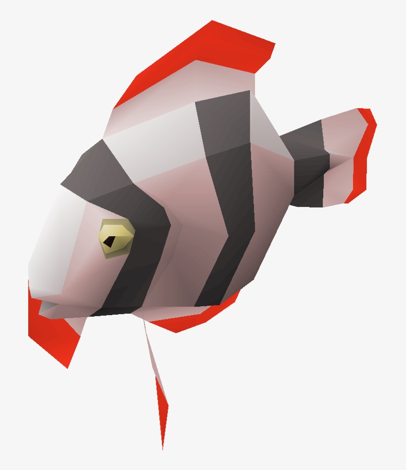 Discus Fish - Illustration, transparent png download