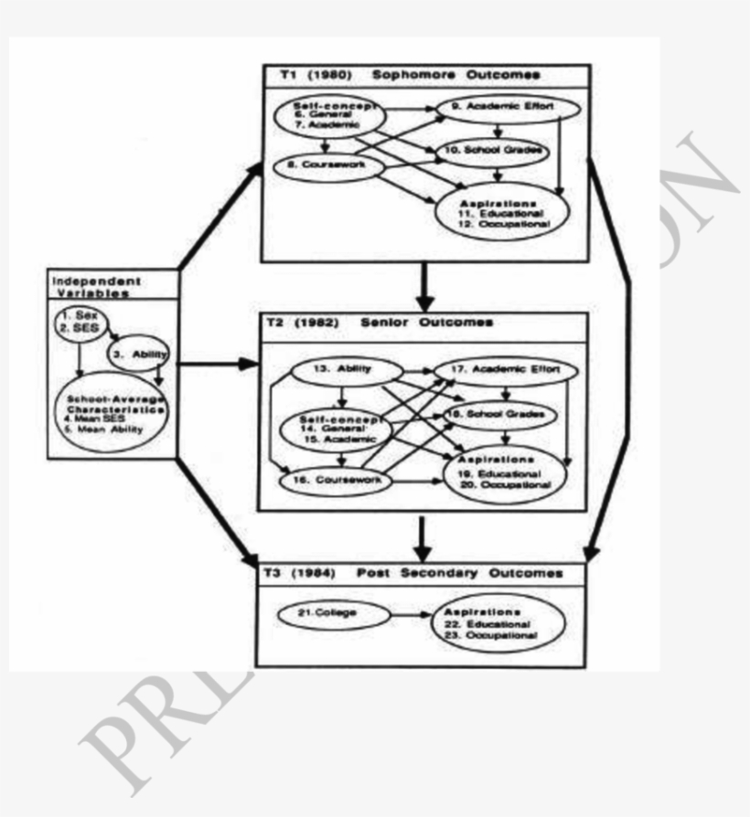 Testing The Implications Of The Big Fish Little Pond - Education, transparent png download