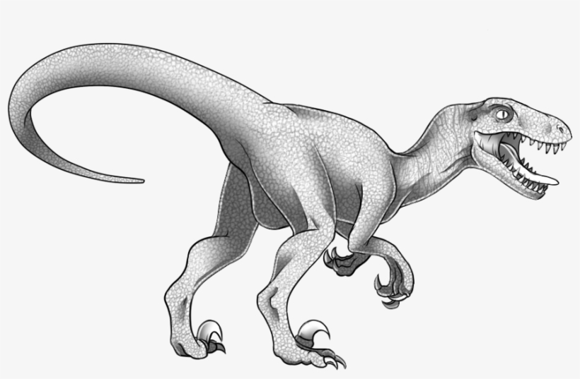 Velociraptor Premade By Maytitan On Deviantart Image - Velociraptor, transparent png download