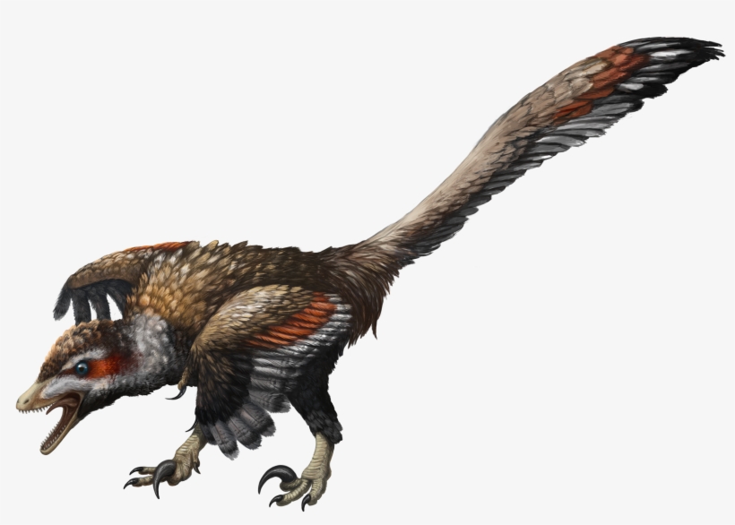 Velociraptor - Flaming Cliffs Mongolia Dinosaurs, transparent png download
