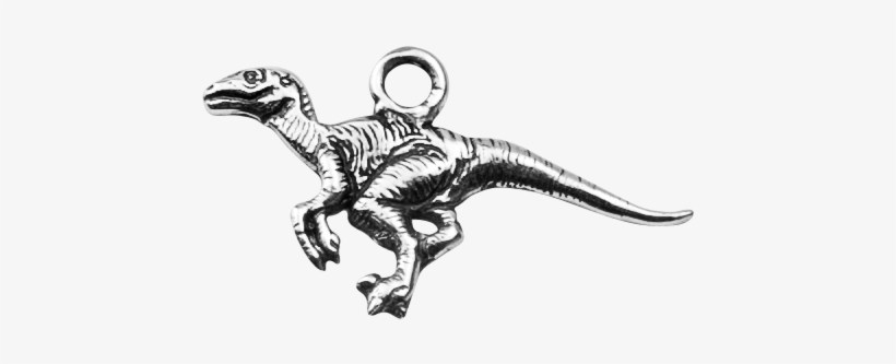 Velociraptor, transparent png download