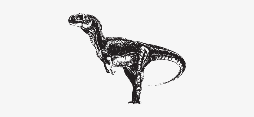100 Dinoprints Messages Sticker-0 - Eustreptospondylus, transparent png download