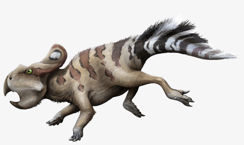Protoceratops - Protoceratops Png, transparent png download