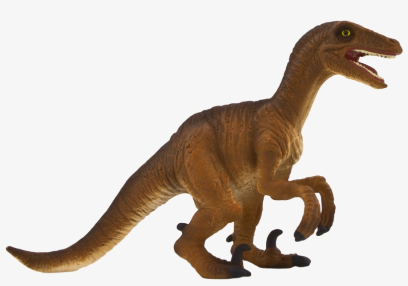 New Paint Version, transparent png download