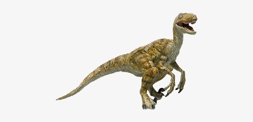 Velociraptor - Photography, transparent png download