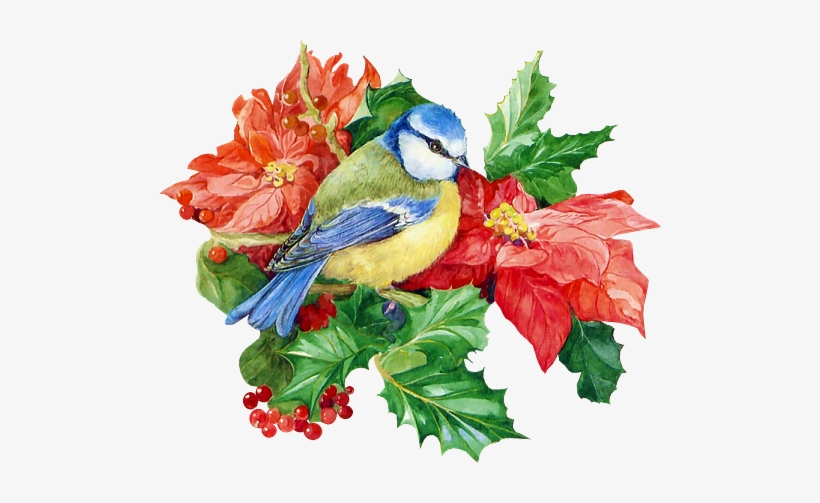 Klik For At Se I Normal Størrelse - Swallow, transparent png download