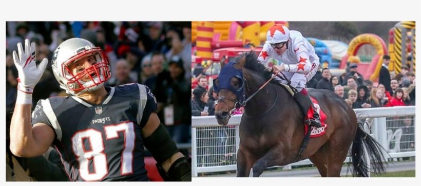 Patriots Tight End Grabs Share Of 4-legged Gronkowski - Sprint Football, transparent png download