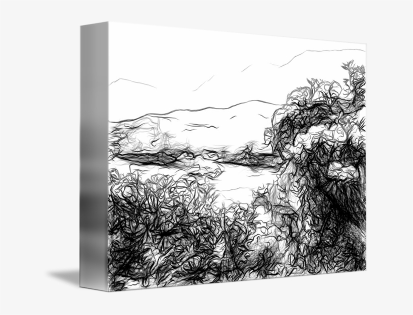 Rhododendrons Bloom Along The River Bundorragha - River, transparent png download