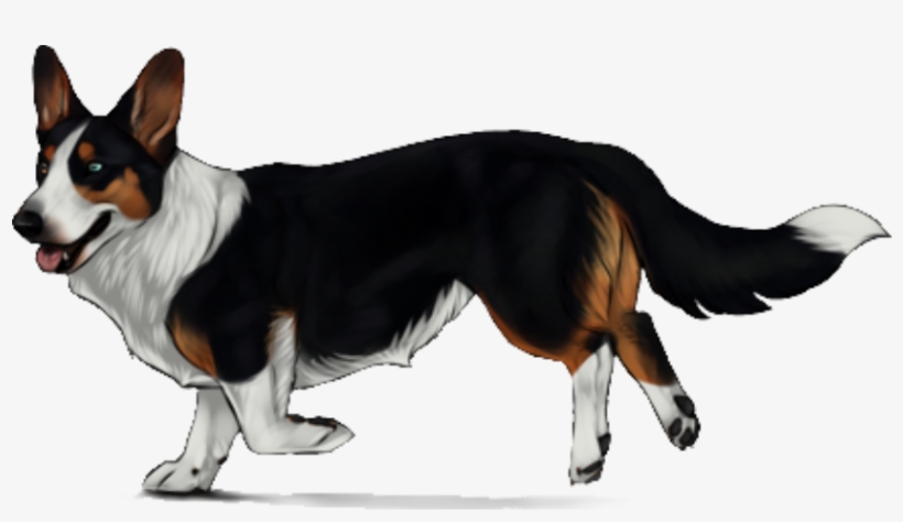 Cardigan Welsh Corgi - Cardigan Welsh Corgi Png, transparent png download