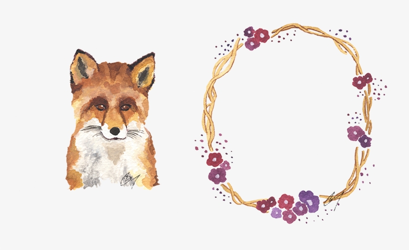 Red Fox, transparent png download