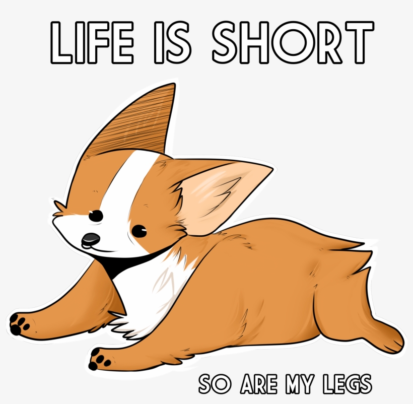 Life Is Short - Dog Catches Something, transparent png download
