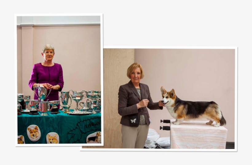 The Inside History Of Queen Elizabeth's Eight-decade - Pembroke Welsh Corgi, transparent png download