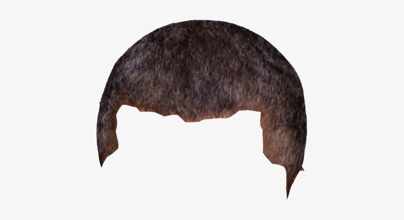 In The Six Years Since Republicans Took Control Of - Electric Ray, transparent png download