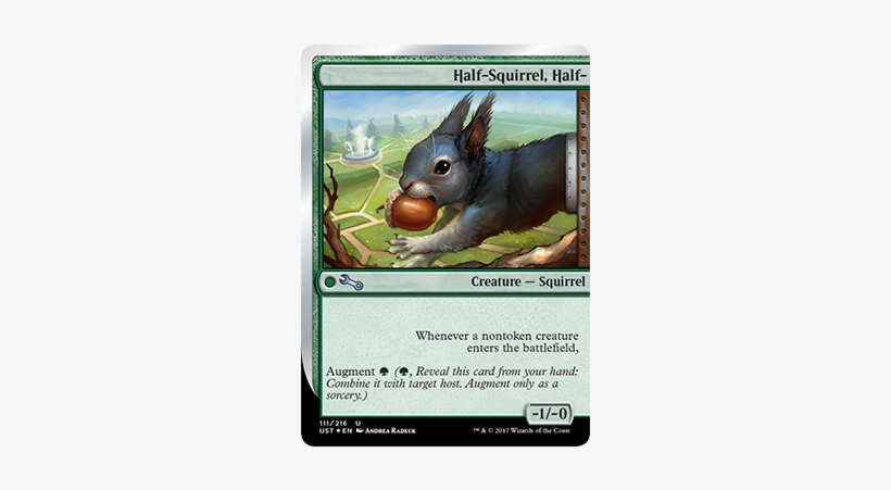 Augment - Half Squirrel Half Pony, transparent png download