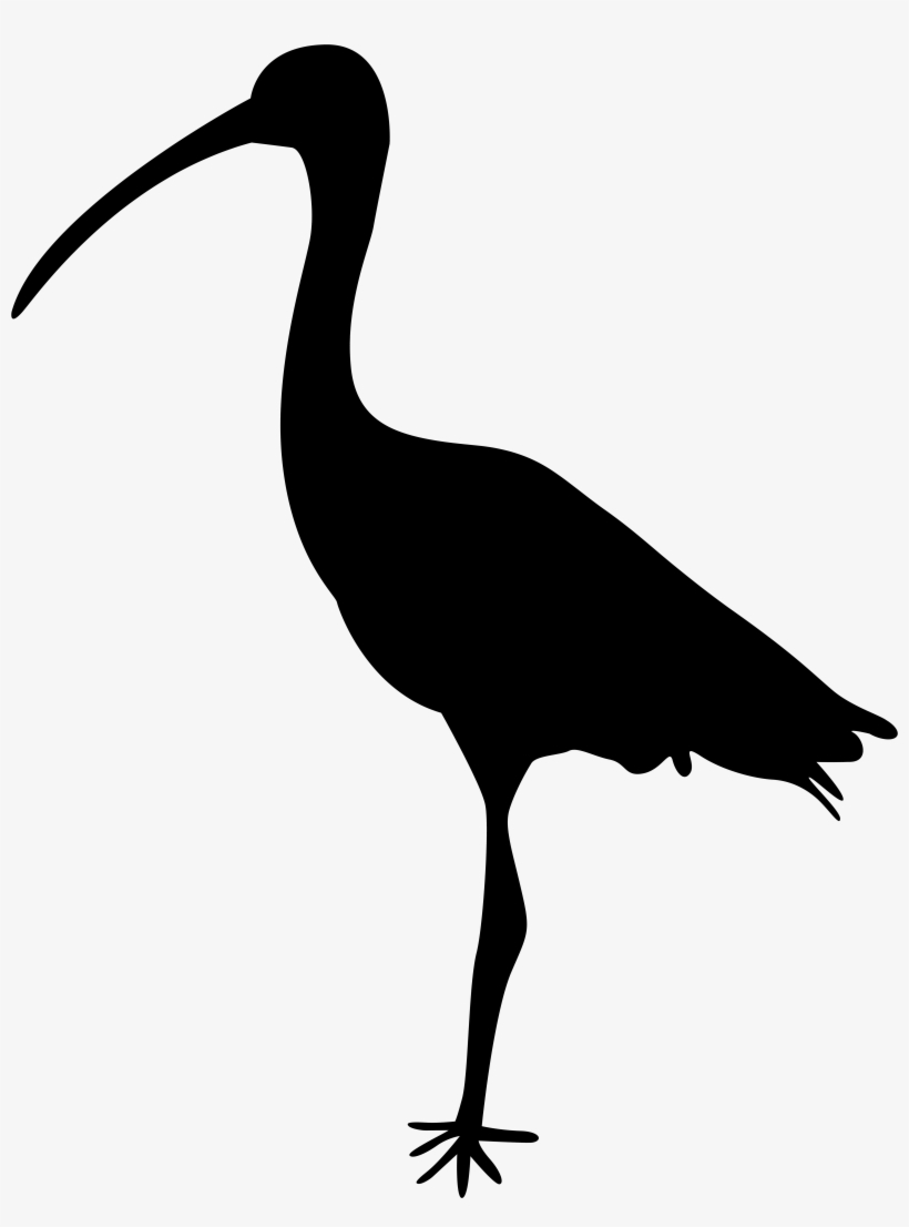 Crane Bird Silhouette At Getdrawings, transparent png download