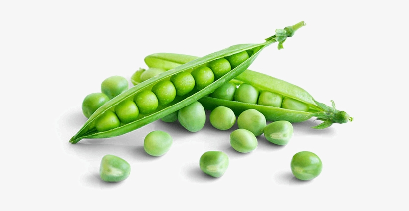 Seasoned Vegetables Can Be A Delicious Way To Eat Better - Snow Peas, transparent png download
