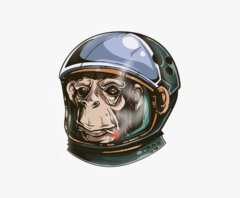 Space Monkey - Monkey With Space Helmet, transparent png download