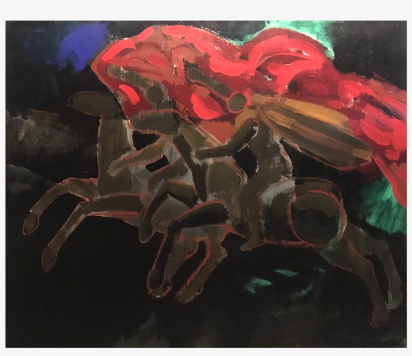 Attributed To Gonzalo Ceja [1936-2006] - Hybrid Tea Rose, transparent png download