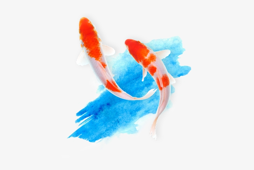 Get To Know Why To Invest In Jurerê Internacional - Visual Arts, transparent png download