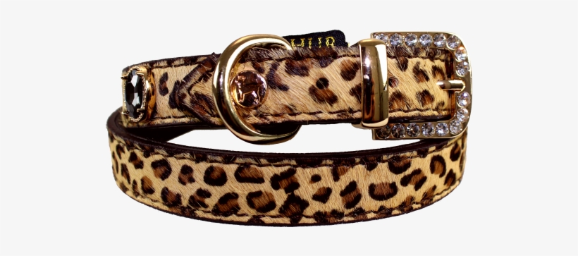 Belt, transparent png download