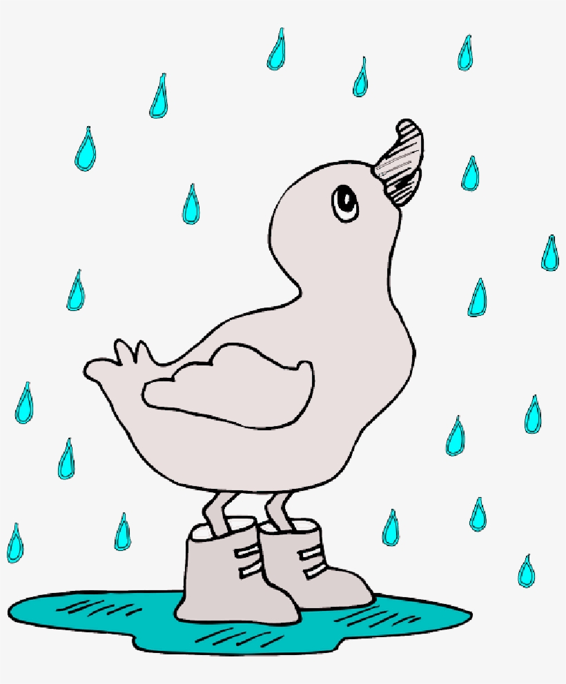 Mb Image/png - 3drose Cute Duckie In Rain, Ceramic Mug, 11-ounce, transparent png download