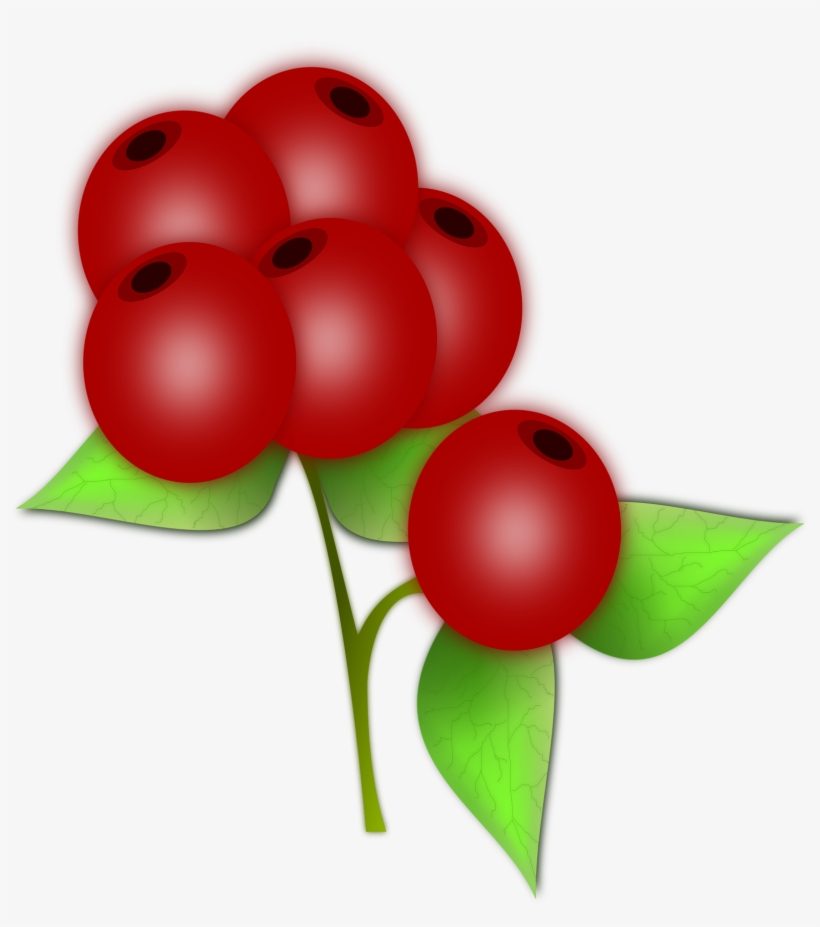 Berry Vector Acai - Acid Alkaline Diet Journal, transparent png download