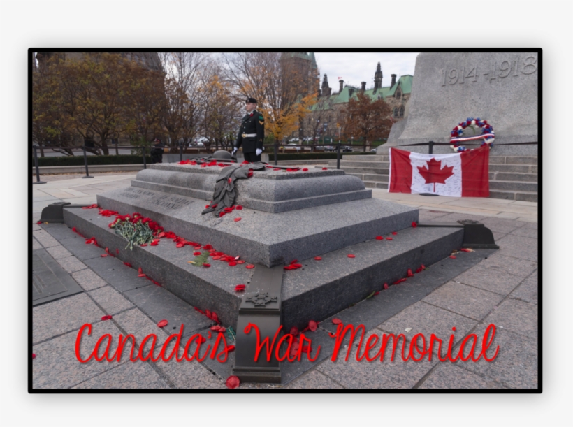 Canada's War Memorial - Tree, transparent png download