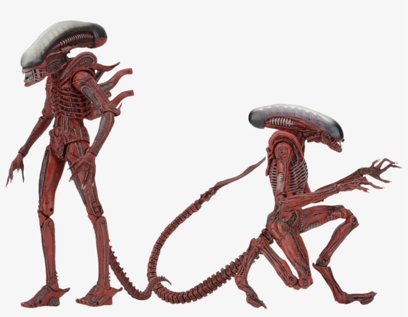 Aliens - - Neca Grey Dog Alien, transparent png download