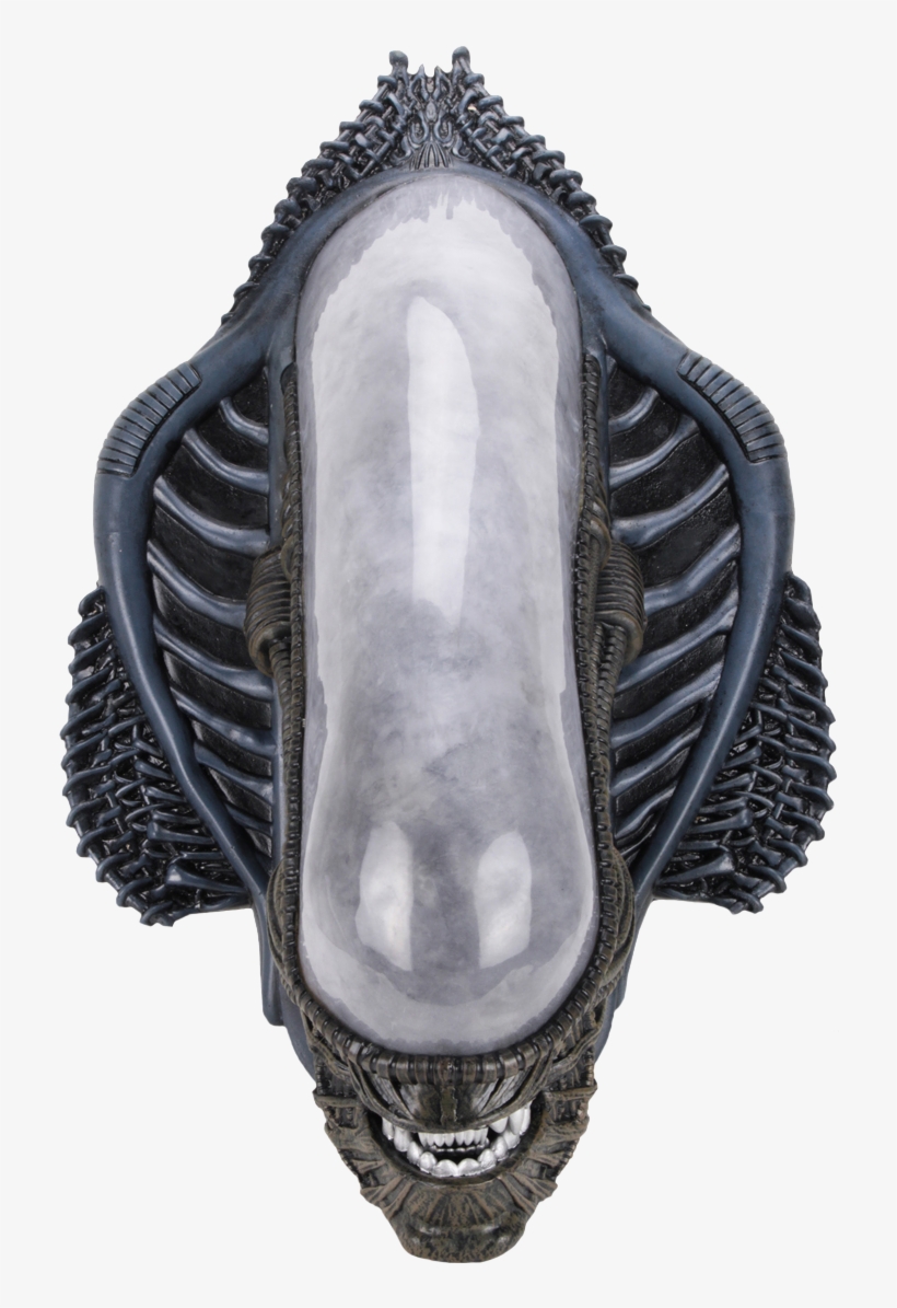 1 Scale Life-size Foam Wall Mounted Bust - Xenomorph Wall Mounted Bust, transparent png download