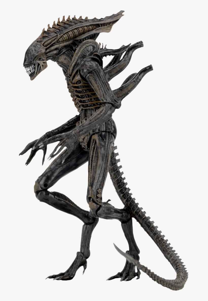 Aliens - Defiance - Ali - - Neca Alien Series 11, transparent png download