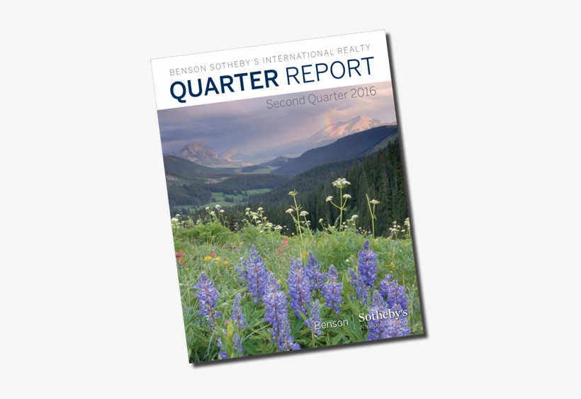 Quarter Report Second Quarter - Texas Bluebonnet, transparent png download