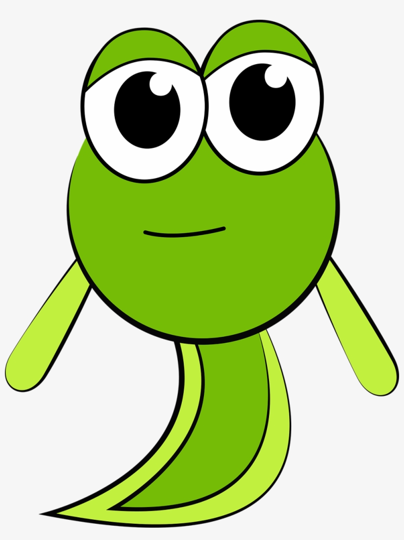 Tadpole,character Animator - Stock.xchng, transparent png download