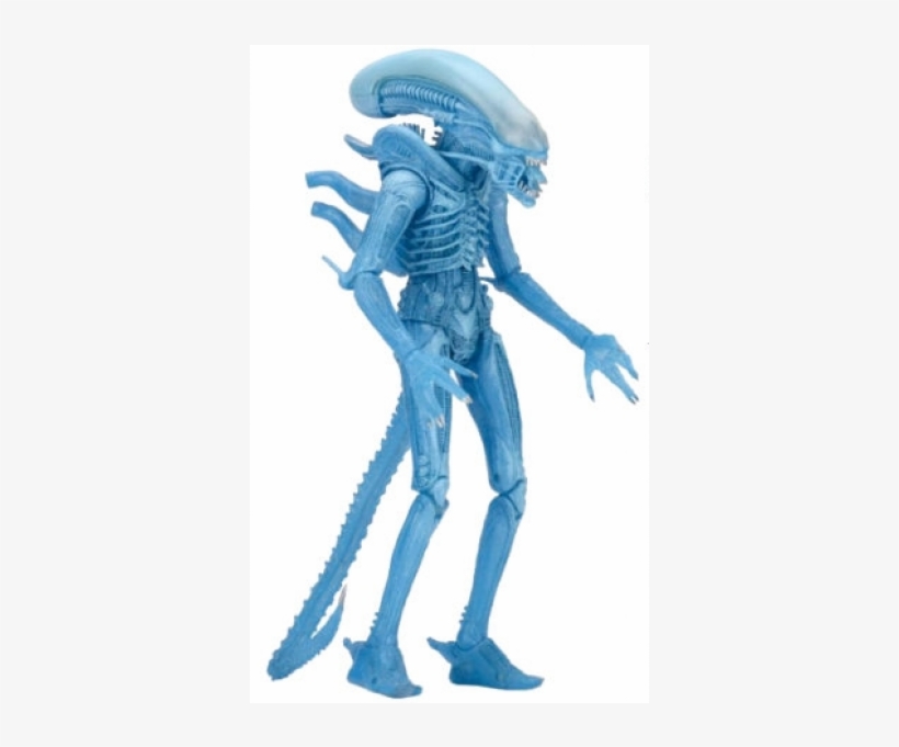 Neca Alien Series 11 Kenner Warrior Alien-600x600 - Neca Alien Warrior Kenner, transparent png download