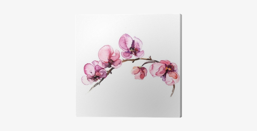 The Watercolor Flowers Orchid Isolated On The White - Skull Earrings Rose Gold Studs Day, transparent png download