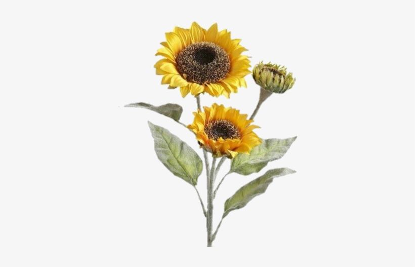 Png & Wallpapers - Png Stickers, transparent png download