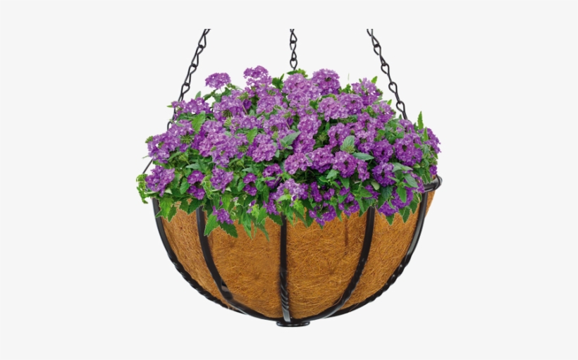 Blacksmith 14 Inch Hanging Basket, transparent png download