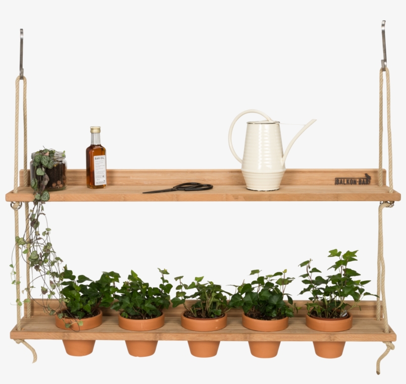 Bamboo, transparent png download